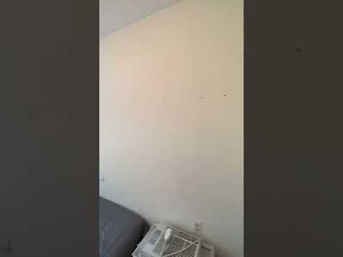 91 Hammond St - Video 6 of 6