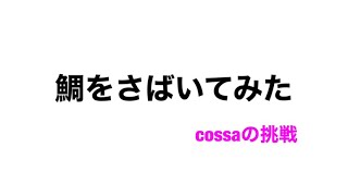 鯛を捌いてみた　ー初挑戦ー