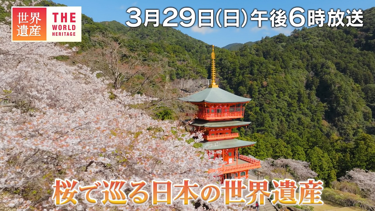 【TBS世界遺産】桜で巡る日本の世界遺産【3月29日午後6時放送】