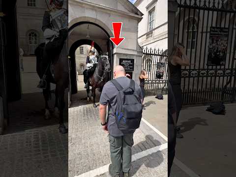 "VIRAL MOMENT: A TOURIST’S HEARTWARMING BOW TO THE MAJESTIC HORSE AT HORSE GUARD PARADE! 🇬🇧
