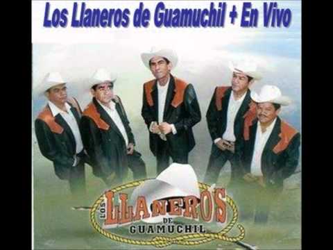 Los Llaneros de Guamuchil-En  Masiaca Son. Linda Guerita, De Rodillas,  Pablo Castro.wmv