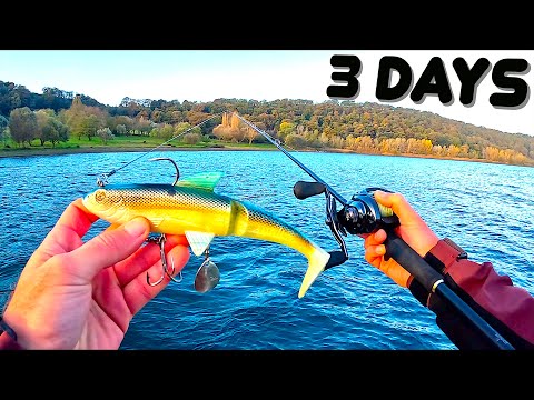 3 GIORNI a Lanciare GROSSE Esche Artificiali in un LAGO NUOVO! Pesca a Spinning ai Lucci dalla Barca