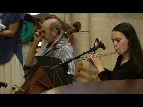 Songs Of Songs. (Shir HaShirim) highlights. BY Rosalind Hershkovitz