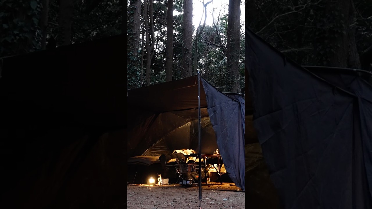 森の中の家 gooutspringhill #camping #asmr #캠핑 #camp #露营