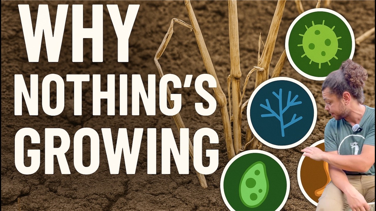 These 4 Microbes Can Fix Every Problem on Your Farm/Garden