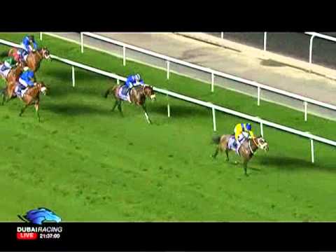 05.01.2012 Meydan (Dubai UAE) 6.Race Longines Al Rashidiya Trial  - Conditions Race 1.800 m