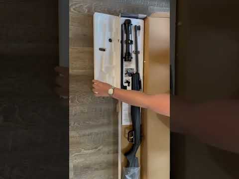 Beeman 1022 airgun review!!