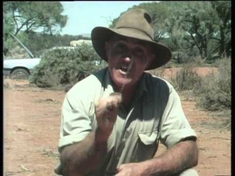 Jack Absalom's The Road To Survival