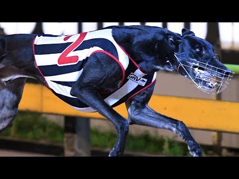 2017 National Sprint Vic final | Aston Dee Bee