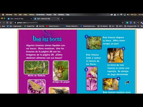YouTube video
