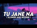 Tu Jane Na Slowed Reverb Arijit Singh Lofi Lyrics