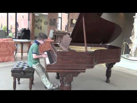 Watch video Down Syndrom: Für Elise by Beethoven-Performed by Peter Rosset