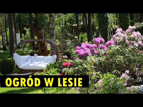 Leśny ogród z przepięknymi dekoracjami, kącikami wypoczynkowymi i perfekcyjnym trawnikiem