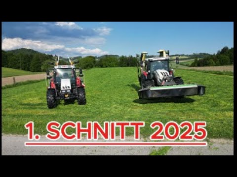 1. Schnitt 2025/ mähen und kreiseln/ Steyr/ Krone/ Pöttinger/ Vicon/ Deutz