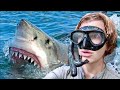 Diving with Great-White Sharks in South AUSTRALIA!