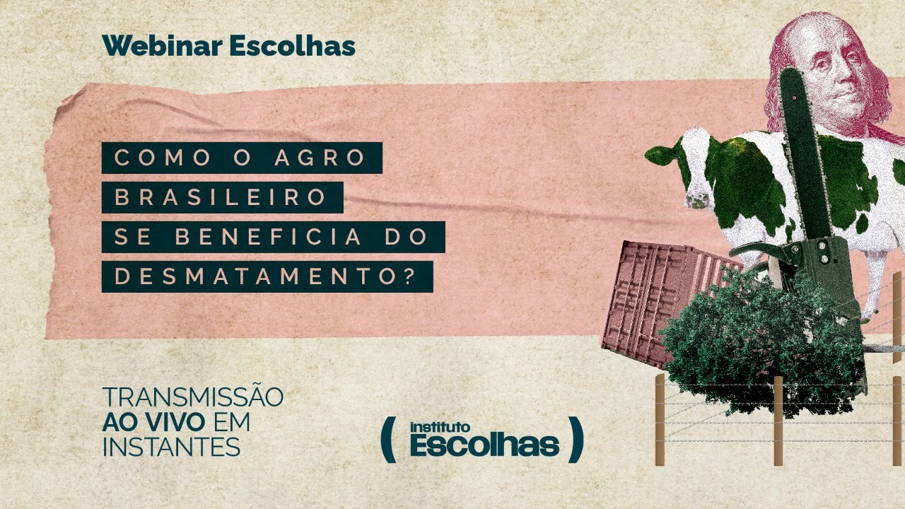 Como o Agro brasileiro se beneficia do desmatamento?