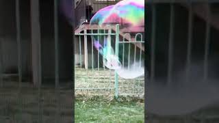 BOY in The BUBBLE - Gigantic Bubble Hits Boy #shorts