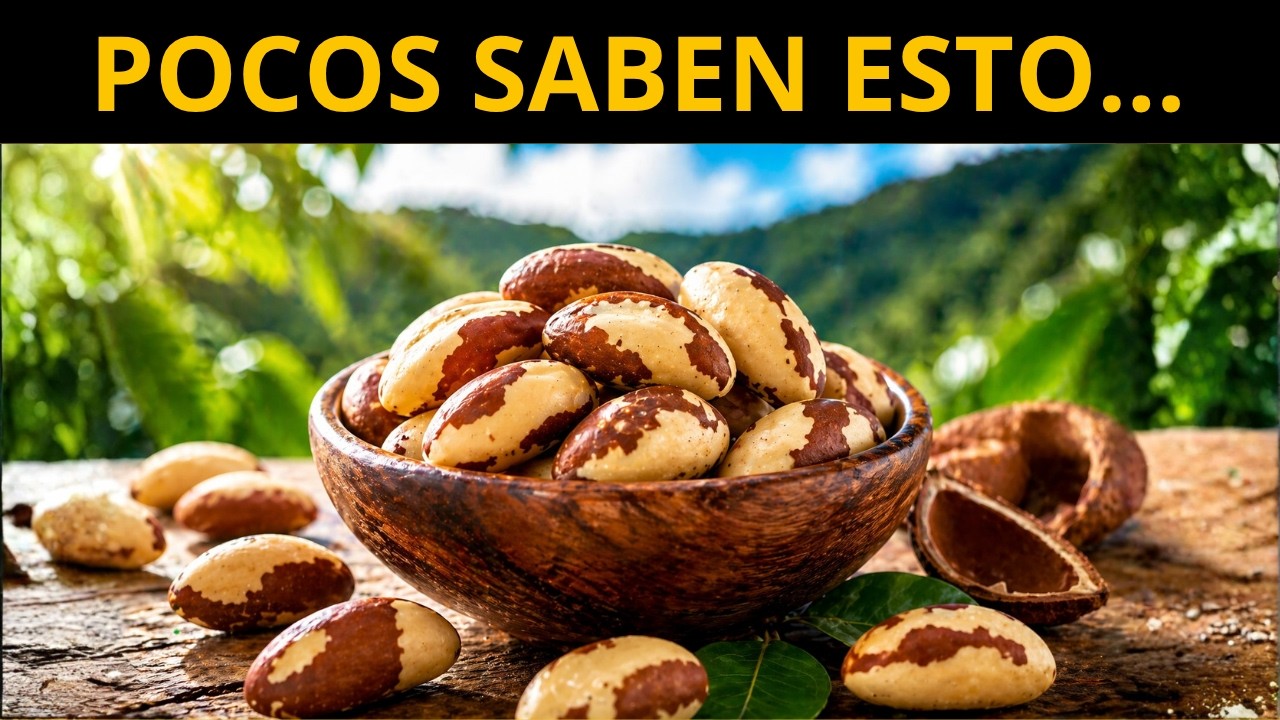 DEBES comer NUEZ DE BRASIL por ESTO - 7 Grandes Beneficios