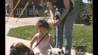 Socializing your pet