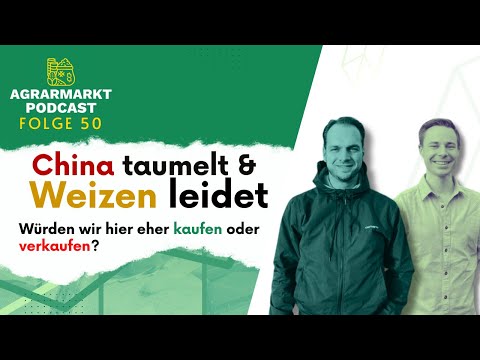 PODCAST: Wenn die Weizenqualität LEIDET