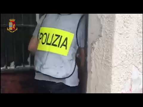 Pianura, serra di marijuana in casa: sequestrate 56 piante