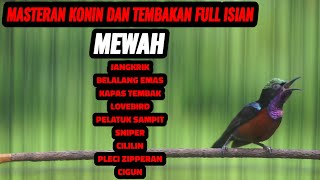 Download lagu SUARA BURUNG KOLIBRI NINJA GACOR FULL ISIAN MEWAH AMPUH BUAT MASTERAN KONIN BAHAN mp3 Download lagu SUARA BURUNG KOLIBRI NINJA GACOR FULL ISIAN MEWAH AMPUH BUAT MASTERAN KONIN BAHAN mp3