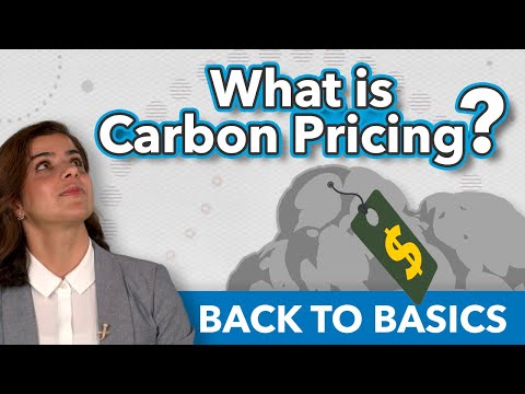 What is Carbon Pricing? | Back to Basics