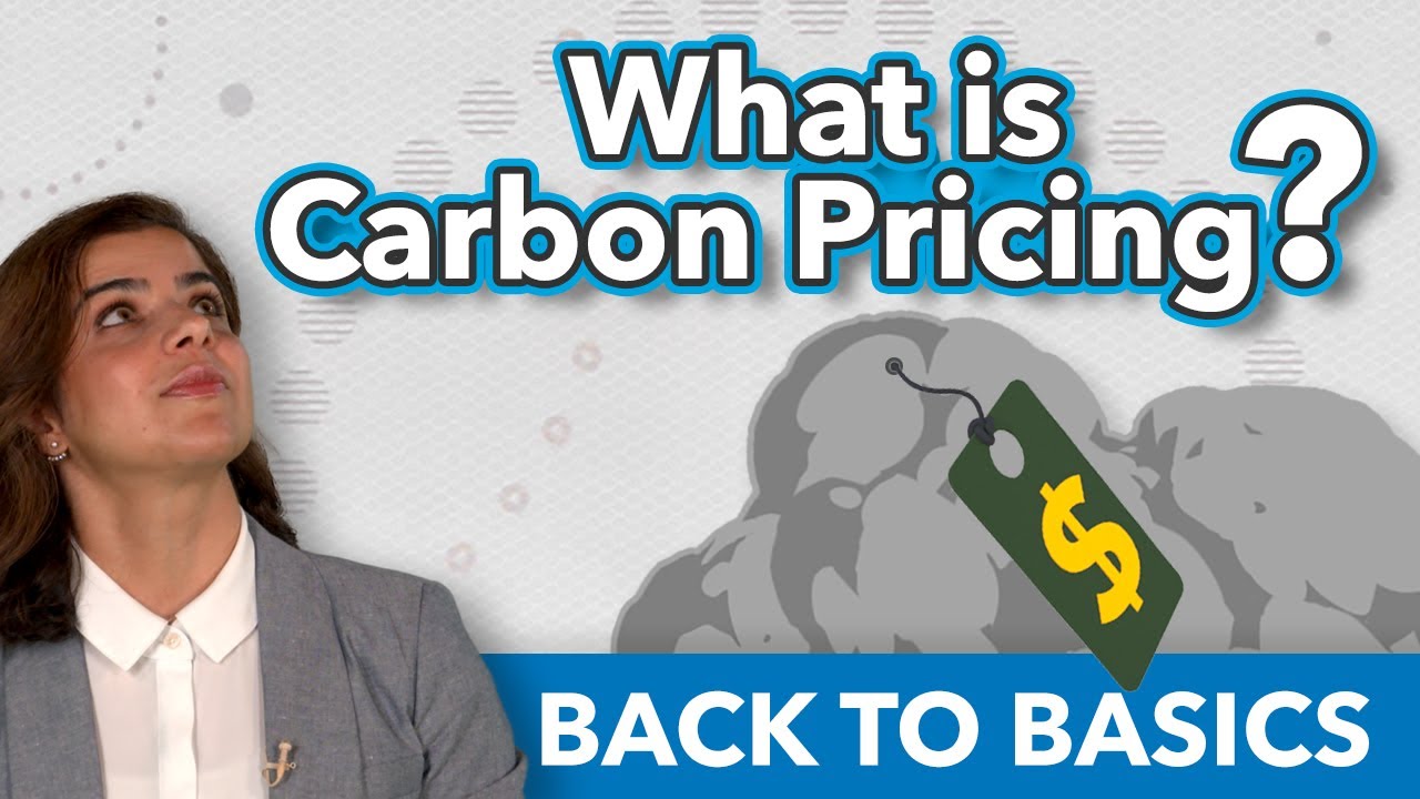 What is Carbon Pricing? | Back to Basics