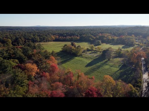 Autumn in Norfolk, MA