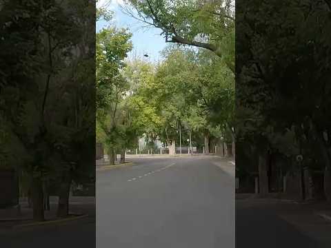 Calle Ugarte, La Puntilla #mendoza #argentina #lujandecuyo #shorts