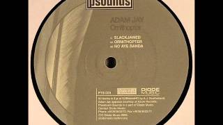 Adam Jay - Ornithopter