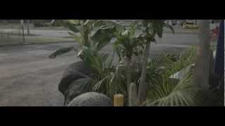 City Of Quartz Music Video