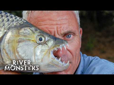 River Monsters Full Episode - Season 4, Episode 6 - Pack Of Teeth