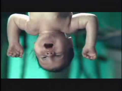 Joseliia’s Video 119896681862 UweC1YdIdCQ