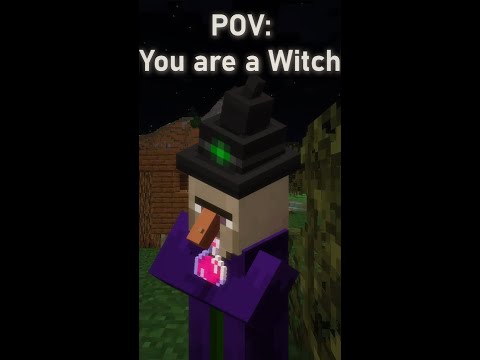 Antartix - POV: You are a Minecraft Witch | Spectating mobs in Minecraft