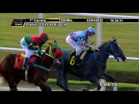 220403 c07 LAWYER BOY