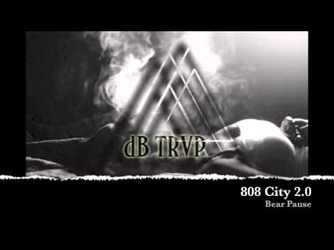 Bear Pause - 808 City 2.0