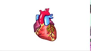 Wat is een hartinfarct of hartaanval?