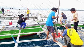 Download lagu SERU DAN MENEGANGKAN‼️ BEGINILAH SUKA DUKANYA NELAYAN KAPAL BAGANG😱 mp3