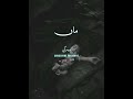 Maa Marti Hai Status 🫨 Bast Emotional Status Tariq Jameel Whatsapp Status AmMuslim