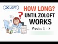How Long Does Zoloft Take To Work A Week By Week Timeline