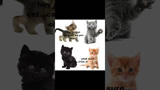 just a sad cat story.  #viral #cat #sadstatus #trending #fyp #edit #capcut #vent
