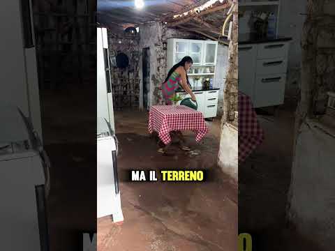 Perché queste case si puliscono solo una volta al mese?