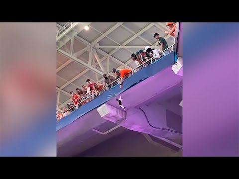 Watch: Miami Fans Using American Flag To Catch Falling Cat at Hard Rock Stadium