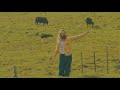 Hippie Sabotage You Re So F King Money Official Video