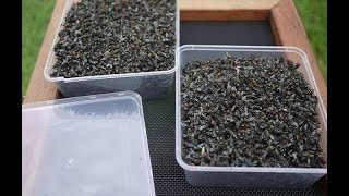 Мухи каракурт приманка от мух