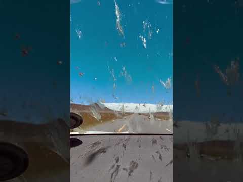 Driving through a locust swarm