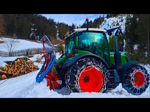 Brennholz holen im Winter ❄️🌲| Fendt und Tajfun Seilwinde 🚜🏔️