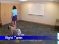 SGM Heeling Turns