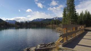 Forgetmenot Pond AB. beauty.